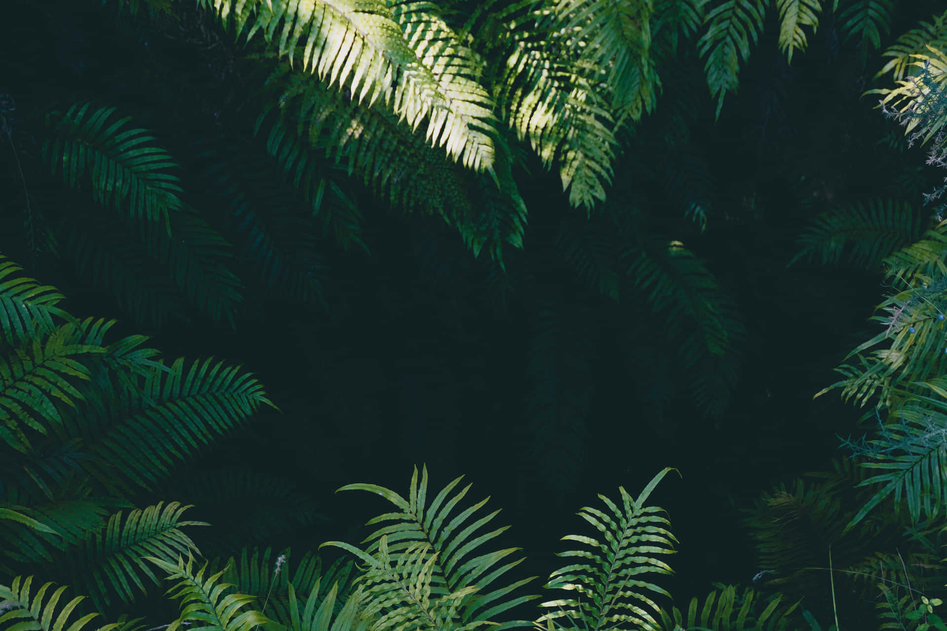 login image